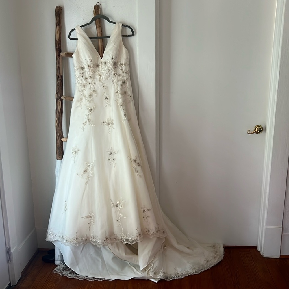 Demetrios Ivory V-Neck  Beaded Floral Vines Tulle Wedding Dress with Train